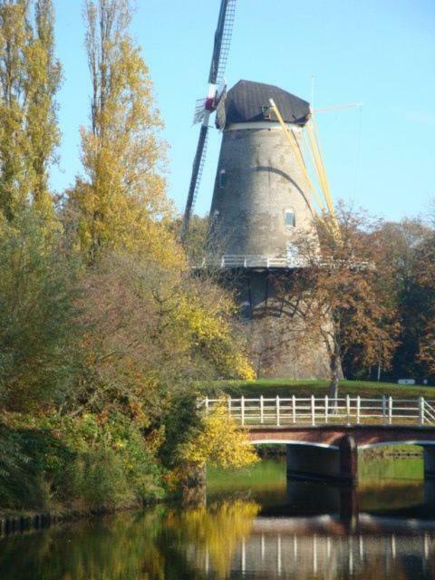 Abeelboom B And B Bed & Breakfast Middelburg Eksteriør bilde